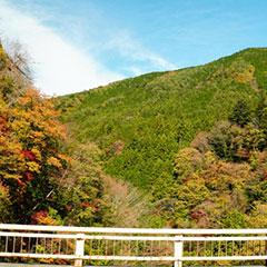 付知峡の風景